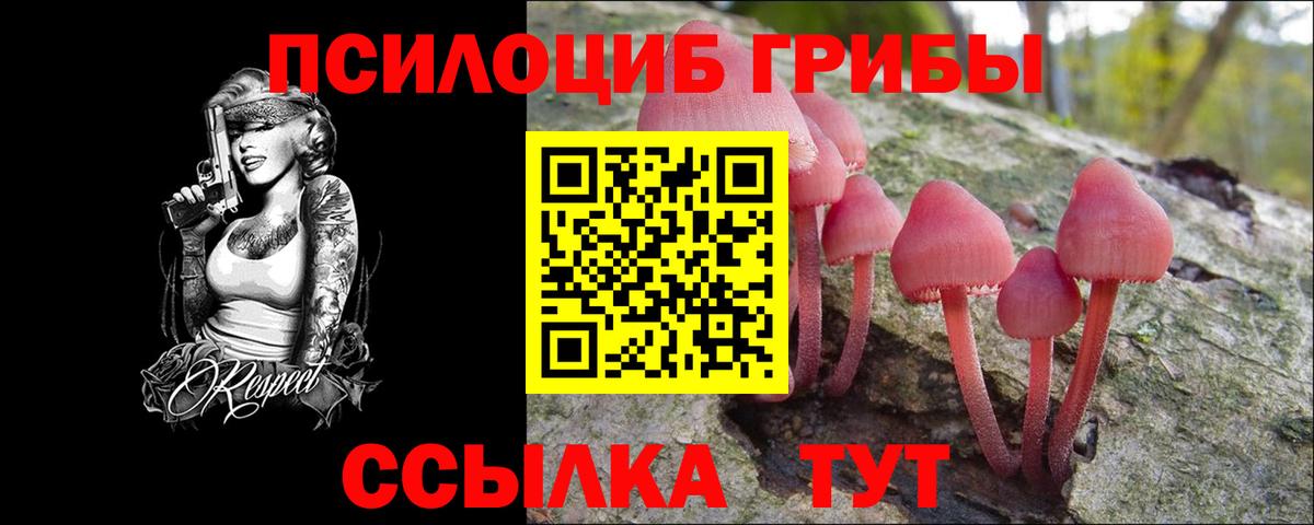 Галлюциногенные грибы Psilocybine cubensis  Вход с VPN  Ейск 